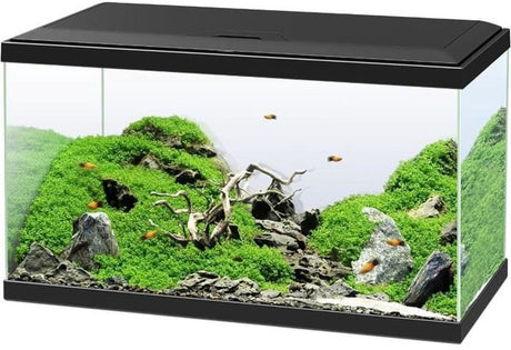 Ciano – emotions pro 60 – aquarium set – cf80 filter