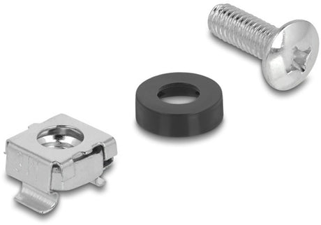 Delock m6 schroevenset voor 10 inch 19 inch componenten | zilver | 100 stuks