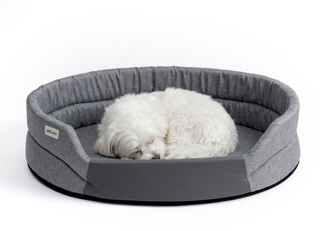Peluvio arita – hondenmand waterafstotend - hondenbed vlekbestendig – maat s – antislip onderkant – licht reisvriendelijk – lage instap zonder randen – duurzaam schuim – geurarm makkelijk schoon te maken – comfort voor elke hond s