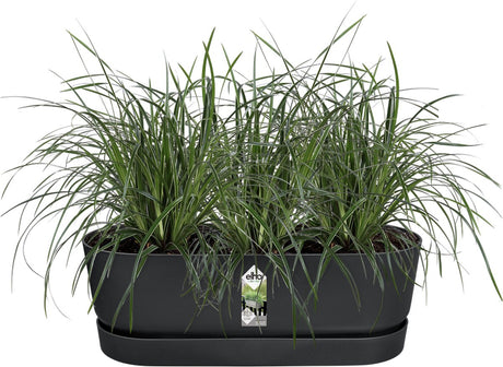 Elho greenville easy balcony 52 - balkonbak met ophanging - 100% gerecycled plastic - l52 x b21.2 x h19.4 cm - living black
