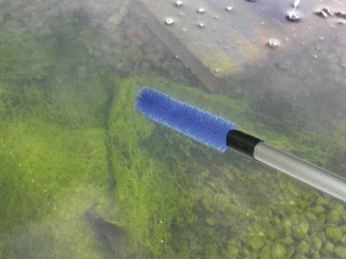 Merkloos sans marque algenbrush active draadalgen borstel – 1,8m steellengte – vijverborstel met geïntegreerd afschraapsysteem – verwijdert draadalgen en vuil