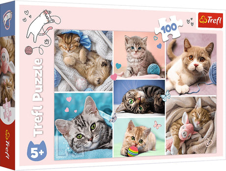 Trefl legpuzzel kattenwereld 100 stukjes karton kleurrijk.