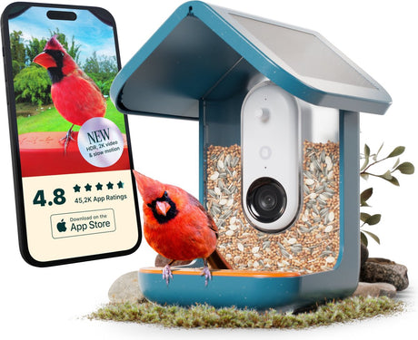 Bird buddy slim pro vogelhuisje met camera en zonnepanelen blauw - camera in nestkast