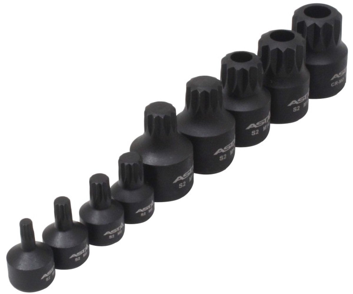 Asta satra kracht spline doppen 10 delige set op rail - veeltanddop bitten set - 12 tand bit - asta