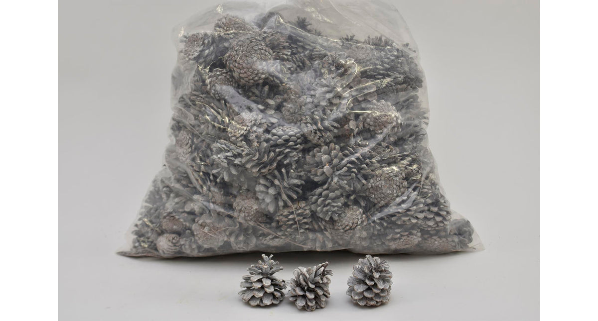 Pinus nigra 5-8 cm white washed poly 5 kg