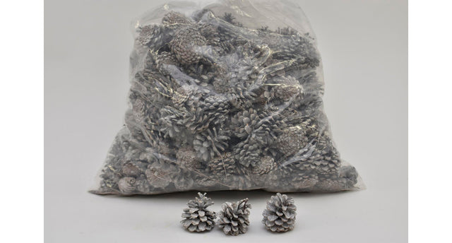 Pinus nigra 5-8 cm white washed poly 5 kg