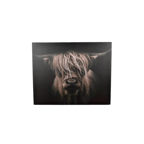 Schilderij highlander zwart canvas hout 40x50cm
