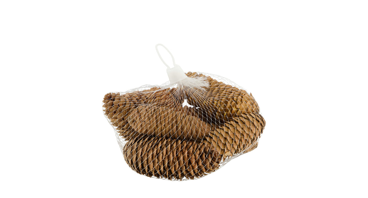 Pinecone 150gr nature 12x12x5cm natural