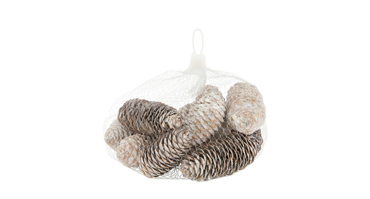 Pinecone 150gr nature 12x12x5cm snowy white