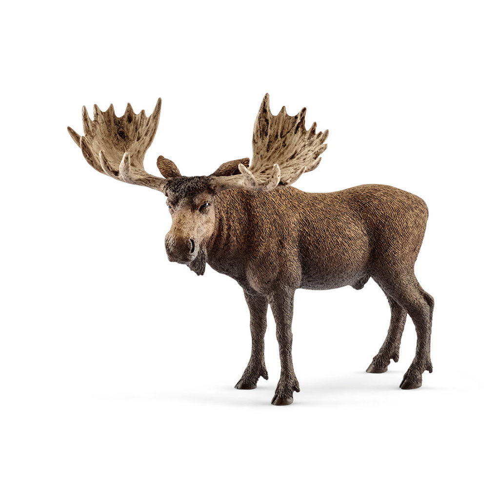 Schleich Wild Life Endstier 14781