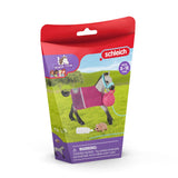 Schleich horse club speelplezier met veulen 42534