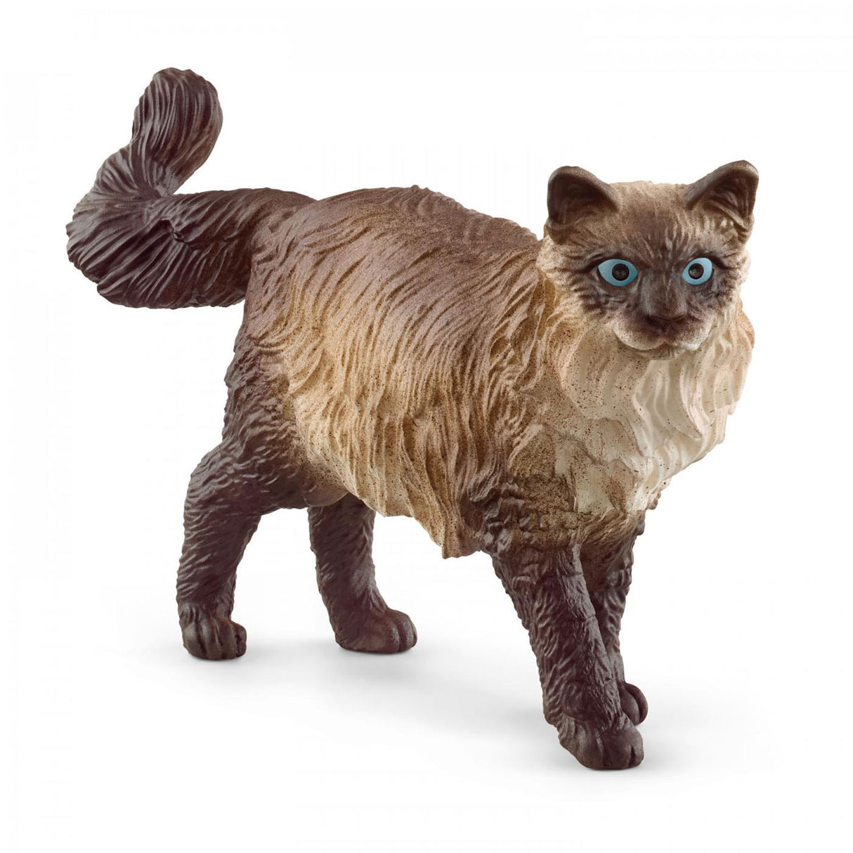 Schwartich Farm World Ragdolll kat 13940