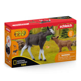 Schleich Wildlife Moose med kalv 42603