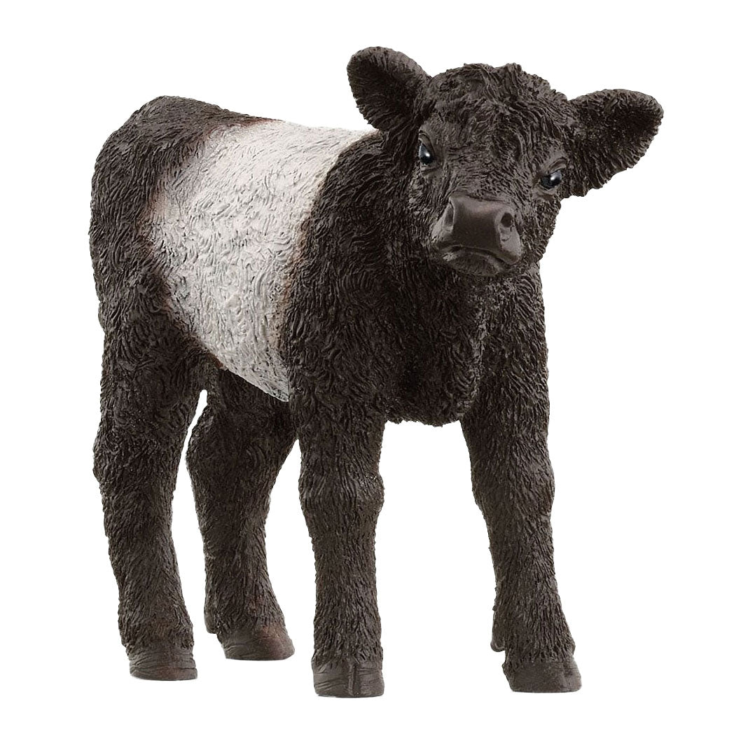 Schleich farm world galloway kalf 13969