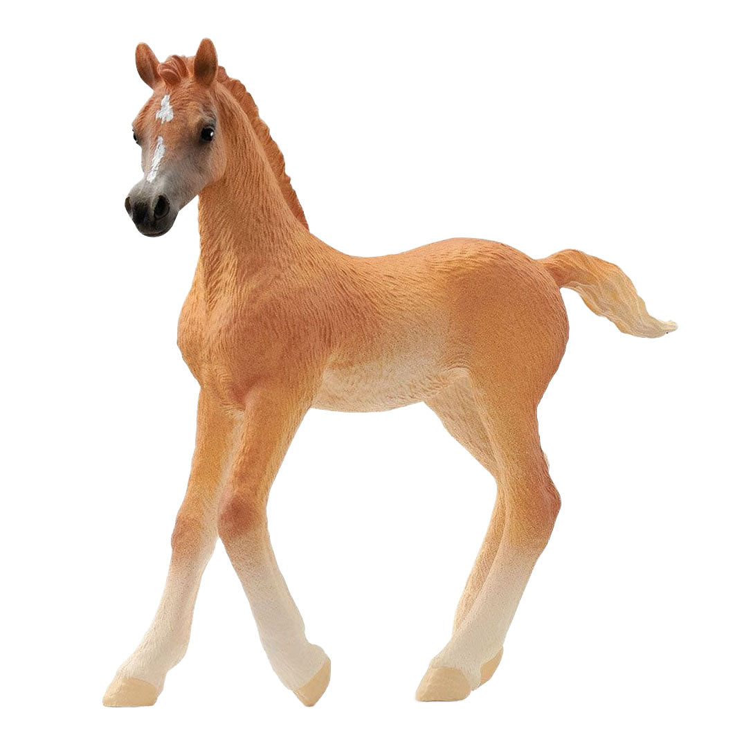 Schleich Horse Club arabský Veulen 13984