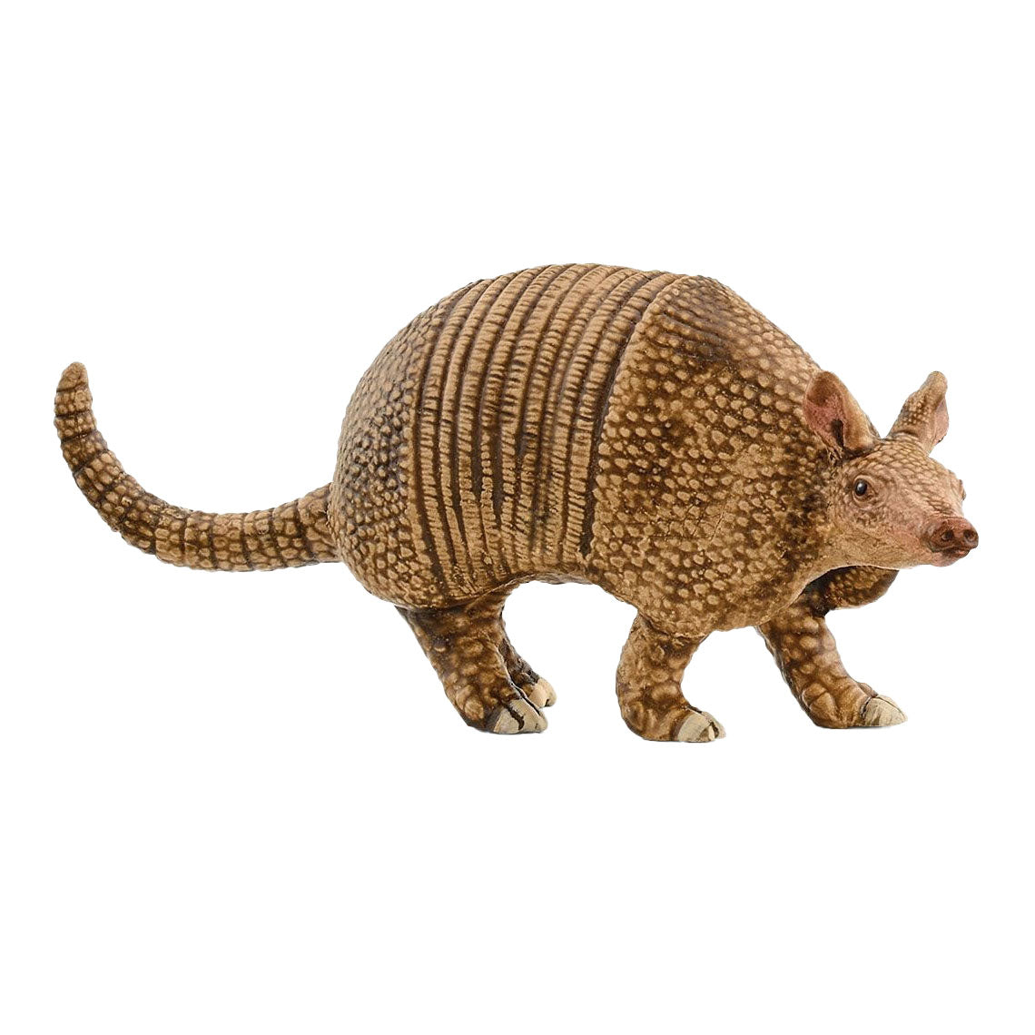 Slichich Wild Liewen Armadillo Ënnerdréck 14874