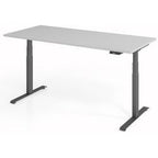 Bach zit-sta-bureau hammerer vlxk6519 5 g lichtgrijs hout, metaal