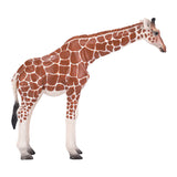 Mojo Wildlife Giraffe Vrouwtje 381033