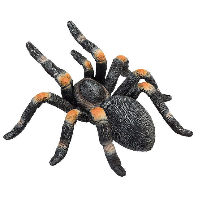 Mojo wildlife rode tarantula - 387213