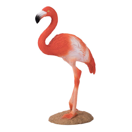Mojo wildlife amerikaanse flamingo - 387134