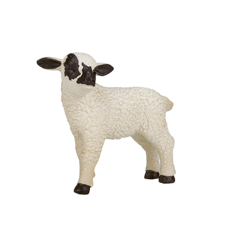 Mojo Ackerland Black Sheep Lamm 387059