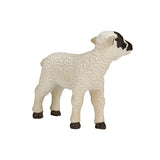 Mojo Ackerland Black Sheep Lamm 387059