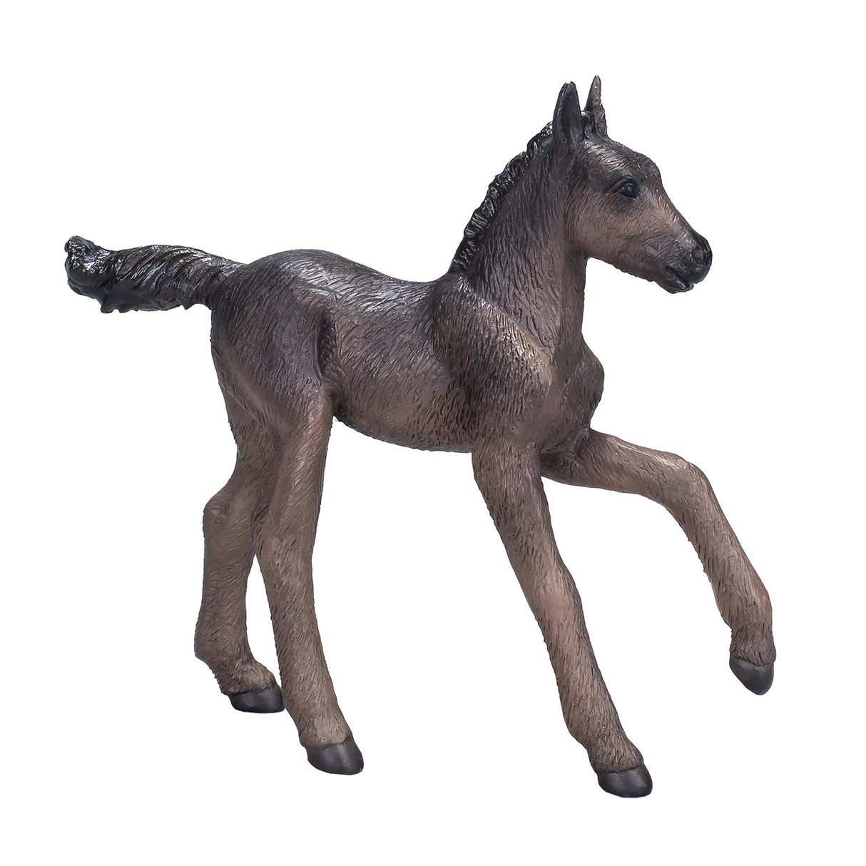 Mojo Päerdsartikel Arabesch Foal Black 381015