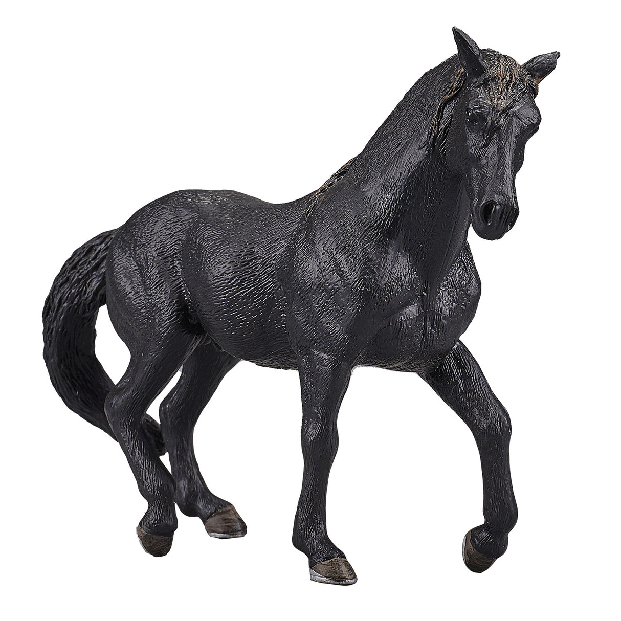 Mojo Päerdswelt Andalusian Stallion Black 387109