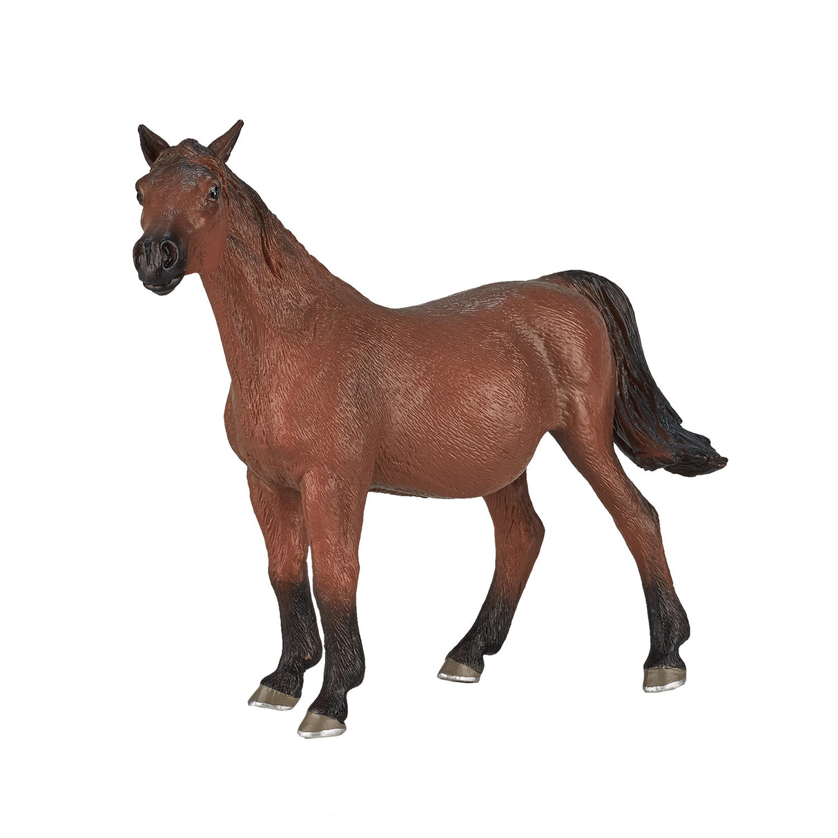 Mojo Horse World Arabic Stare gravid 387194