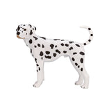 Mojo Ackerland Dalmatian 387248