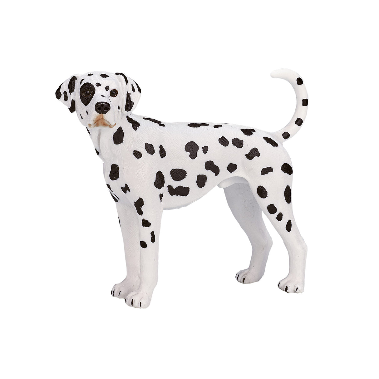 Mojo Ackerland Dalmatian 387248