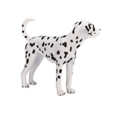 Mojo Ackerland Dalmatian 387248