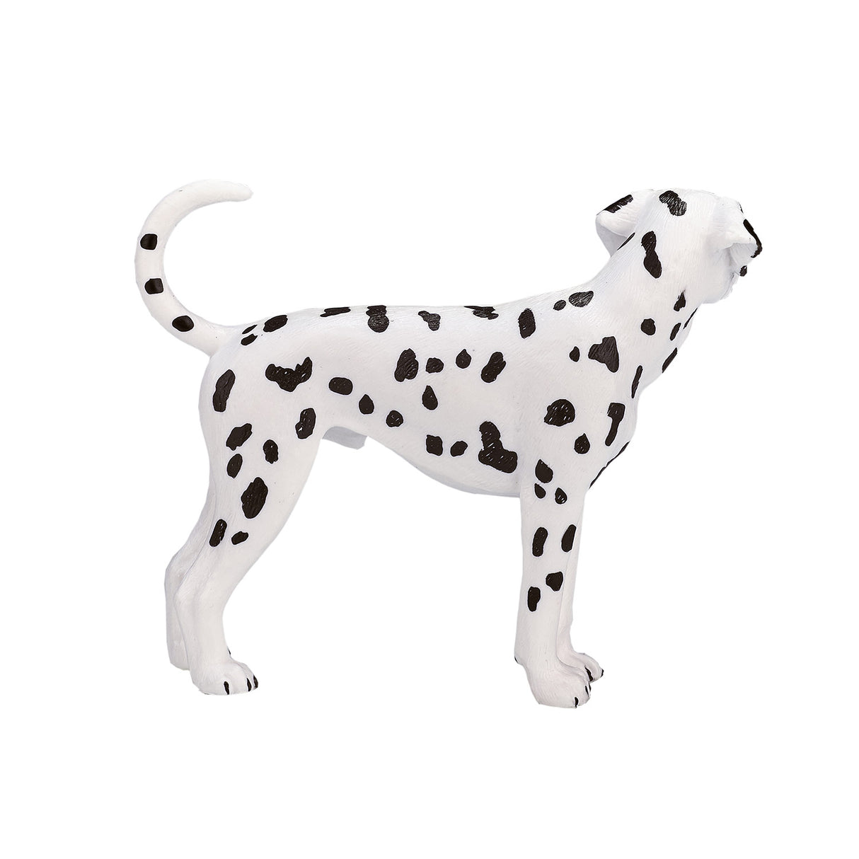 Mojo Ackerland Dalmatian 387248