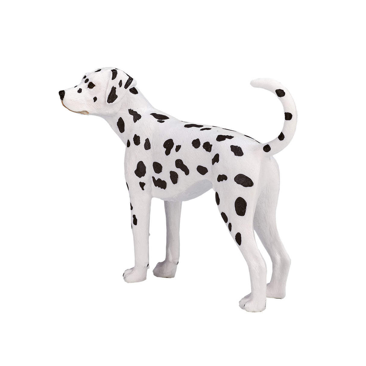 Mojo Ackerland Dalmatian 387248