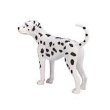 Mojo Ackerland Dalmatian 387248