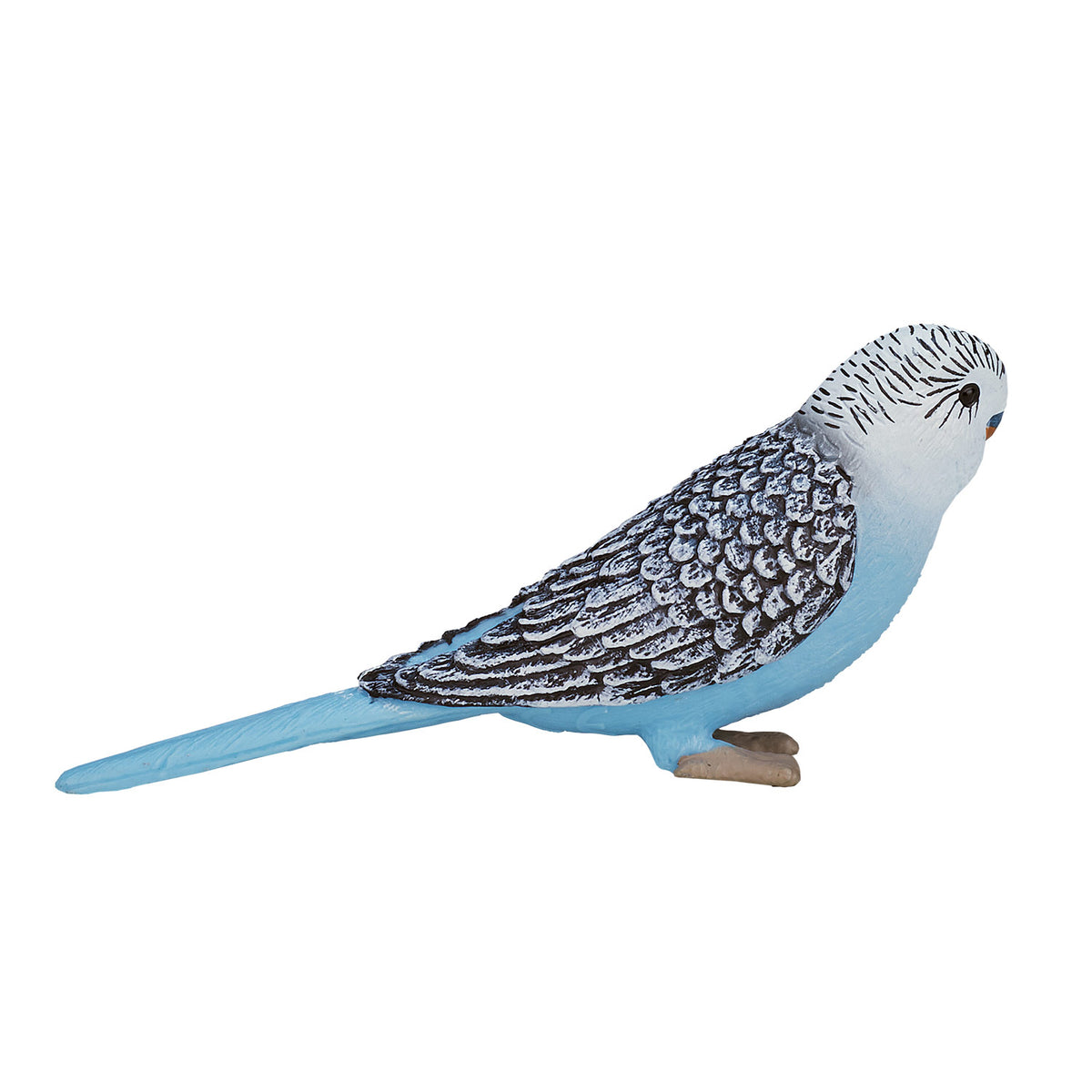 Mojo farmland grasparkiet blauw - 387292