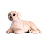 Mojo Ackerland Labrador Welpe 387272