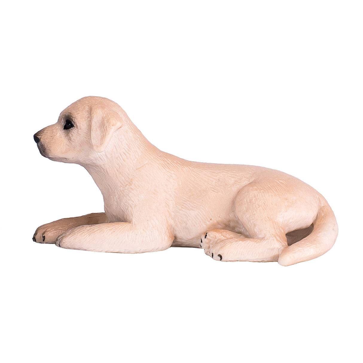 Mojo Ackerland Labrador Welpe 387272