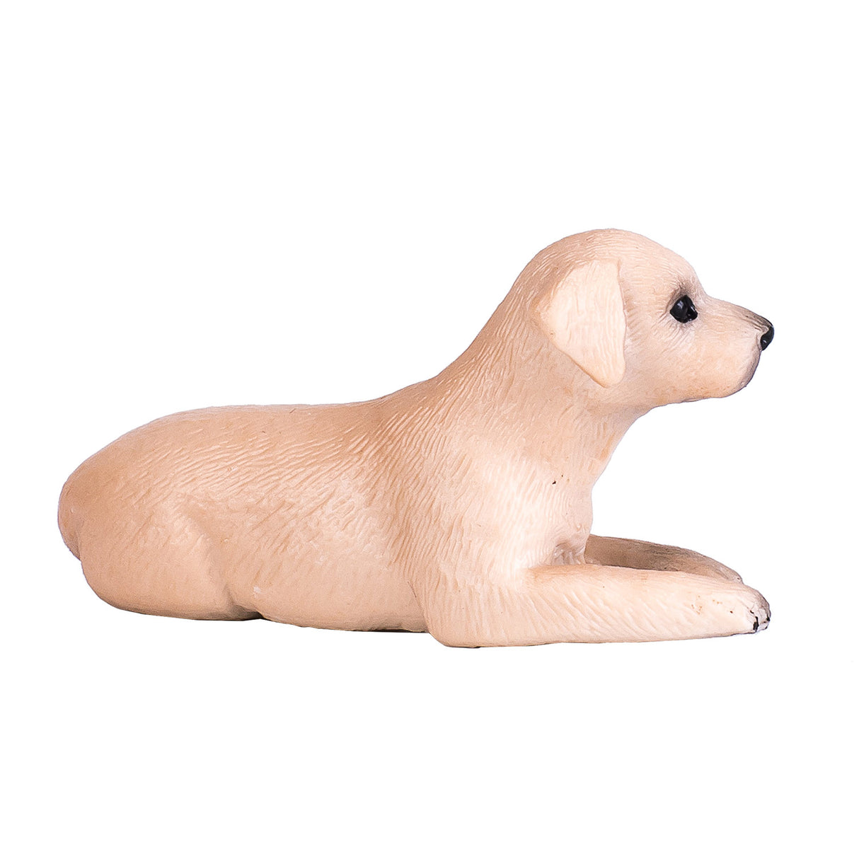 Mojo Ackerland Labrador Welpe 387272