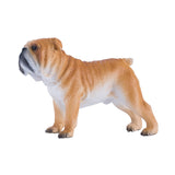 Mojo Farmland English Bulldog 381053