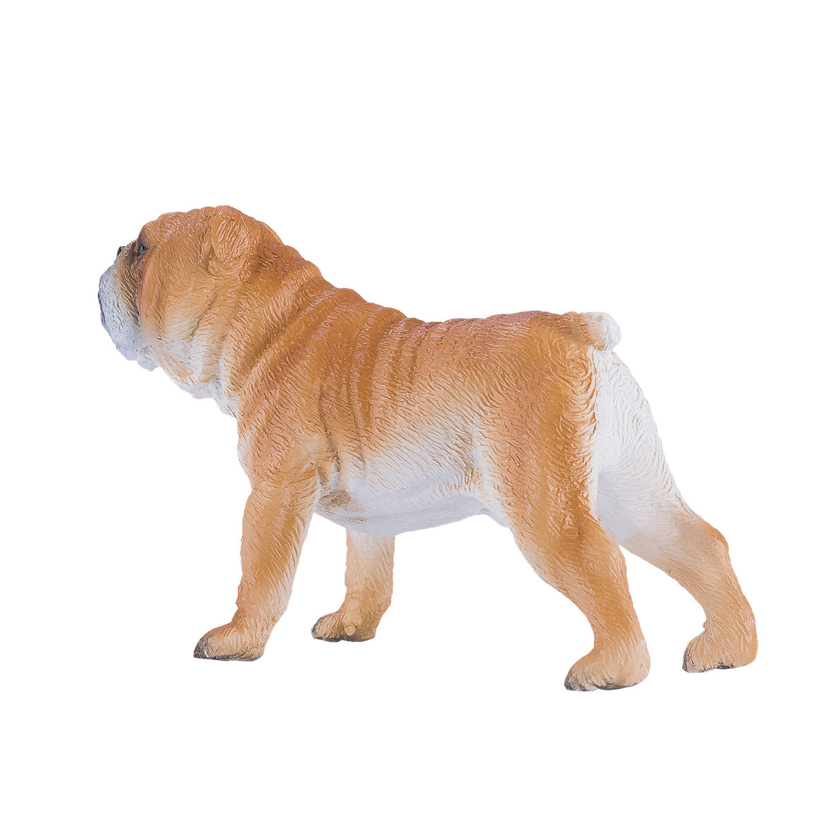 Mojo Farmland English Bulldog 381053