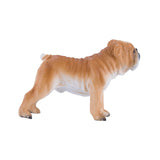 Mojo Farmland English Bulldog 381053