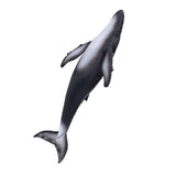 Mojo sealife bultrug - 387119