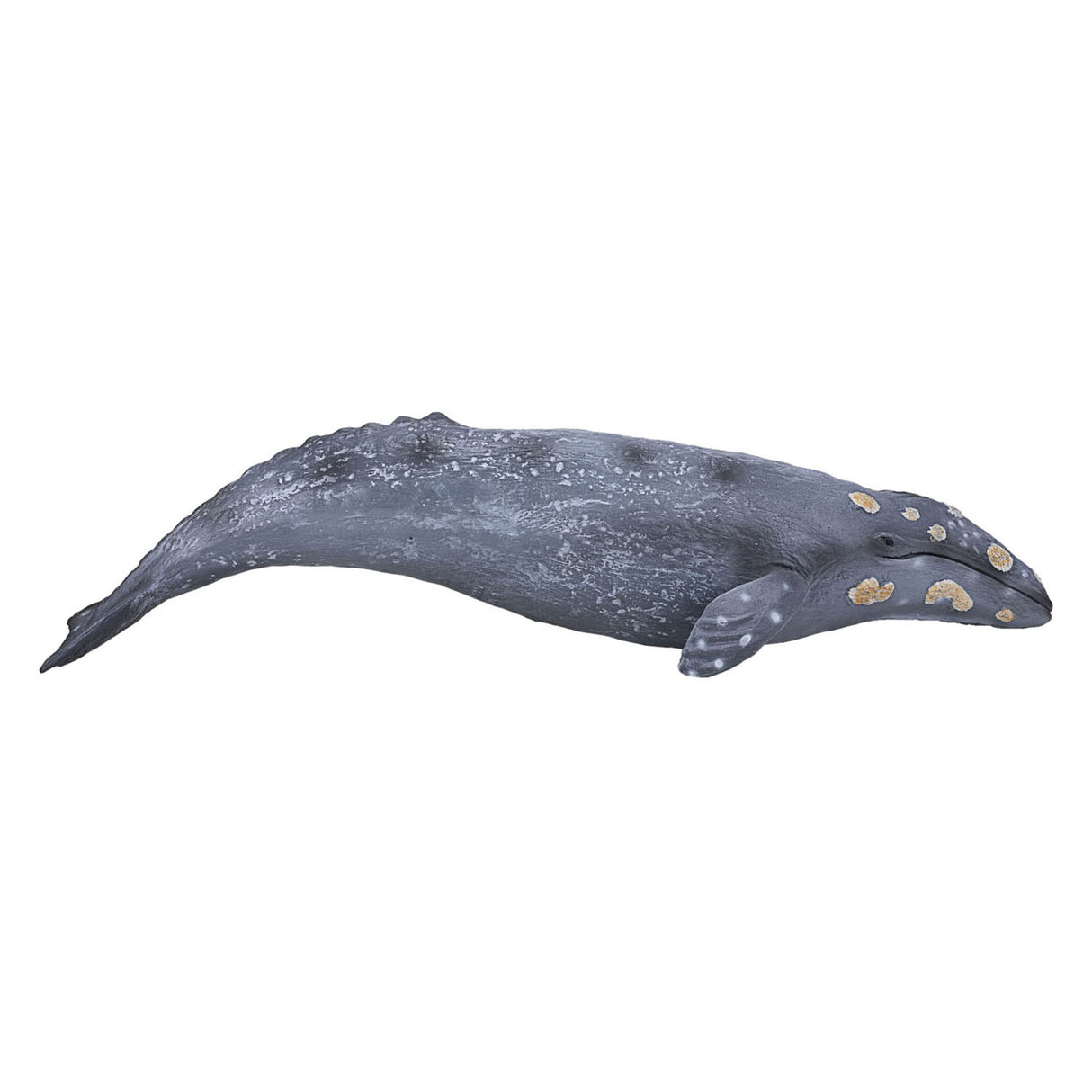 Mojo Sealife Grey Whale 387280