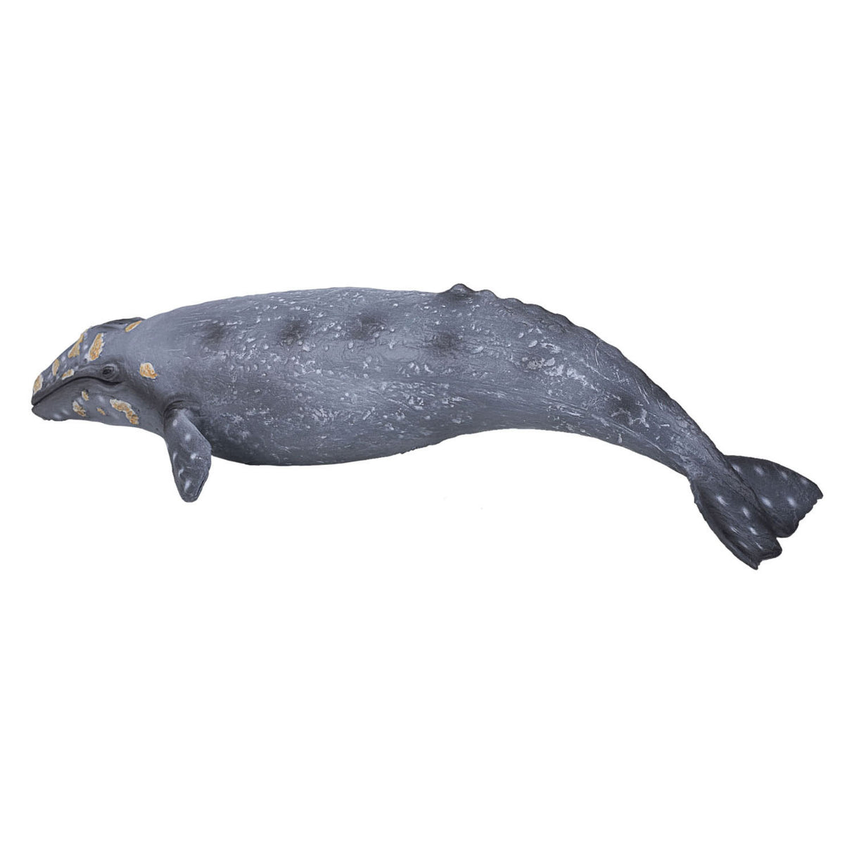 Mojo Sealife Grey Whale 387280