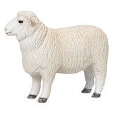 Mojo farmland romney schaap ram 381063