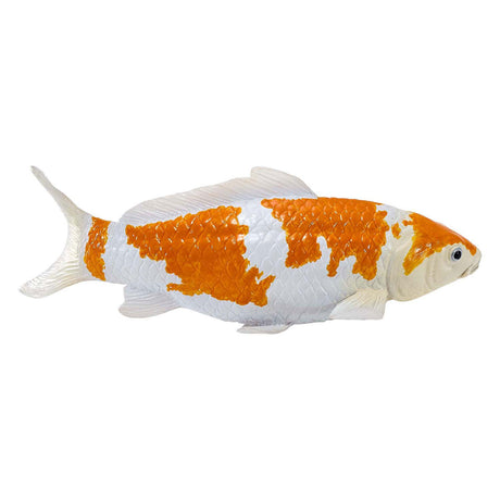 Mojo sealife koi karper - ochiba shigure koi - 381104