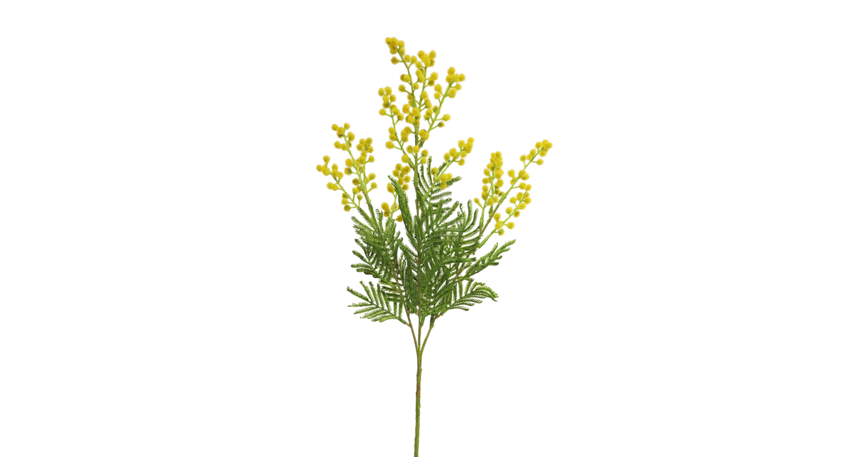 Mimosa eloise yellow 68cm