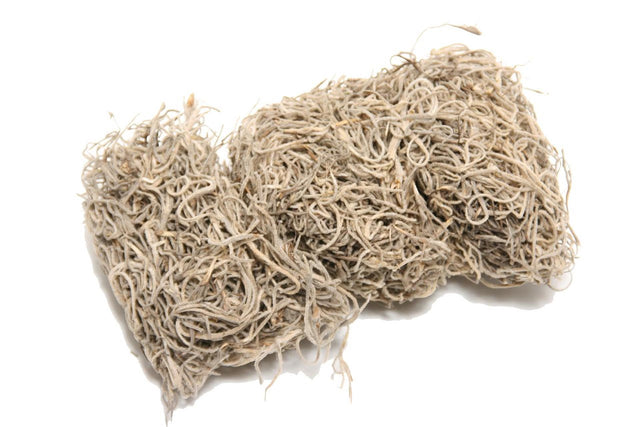 Hbx natural living moss tillandsia 80gr naturel