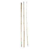 Hengel Bamboo, 2mtr.